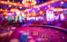 ch666 Pakistan Live Room 507 — Real Dealers, Real Tables